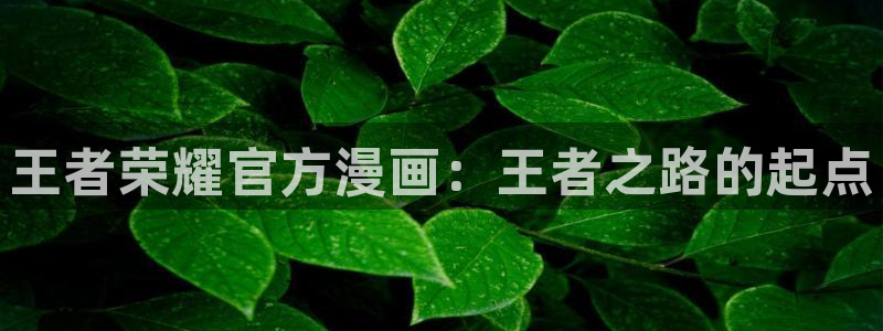 奇漫屋画官方-免费漫画下拉式在线星：王者荣耀官方漫画：王者之路的起点
