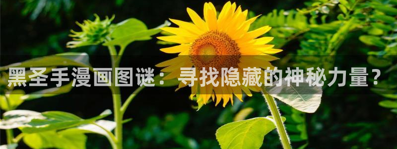 漫画免费版在线阅读免费观看奇漫屋：黑圣手漫画图谜：寻找隐藏的神秘力量？