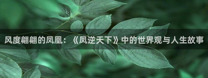 娱乐至上漫画奇漫屋：风度翩翩的凤凰：《凤逆天下》中的世界观与人生故事