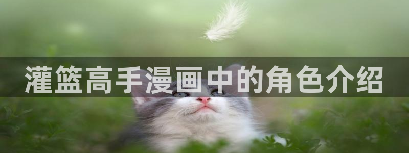 间谍过家家漫画下拉式奇漫屋