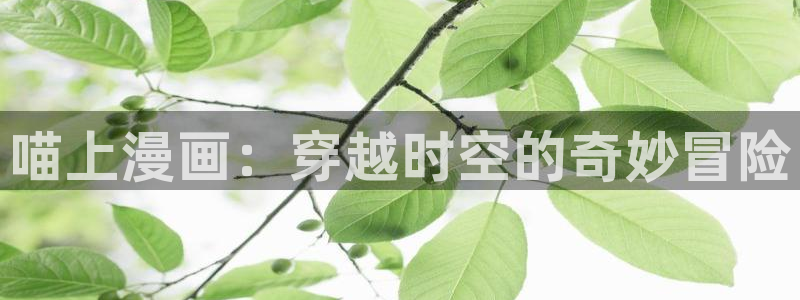 大王饶命下拉式漫画奇漫屋：喵上漫画：穿越时空的奇妙冒险