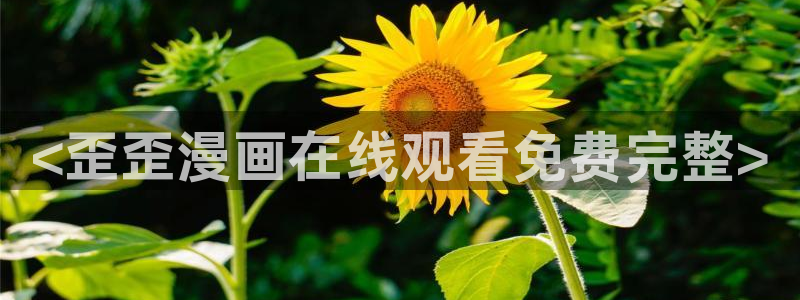 101宠物恋人漫画免费下拉式奇漫屋：<歪歪漫画在线观看免费完整>