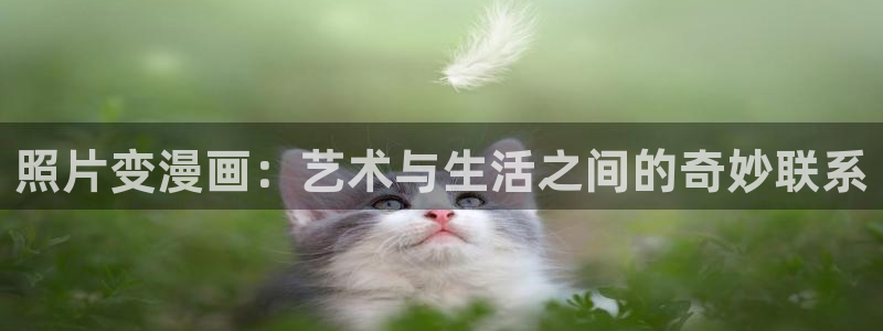 奇漫屋画官方-免费漫画：照片变漫画：艺术与生活之间的奇妙联系